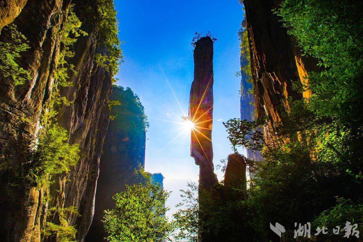 海洋之神590官方网站